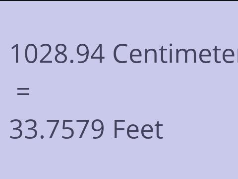 1028.94 CM TO FEET