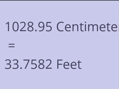 1028.95 CM TO FEET