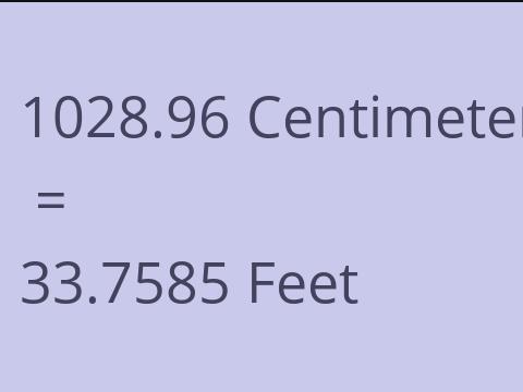 1028.96 CM TO FEET