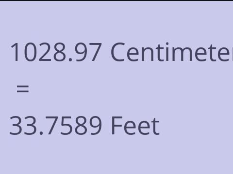 1028.97 CM TO FEET