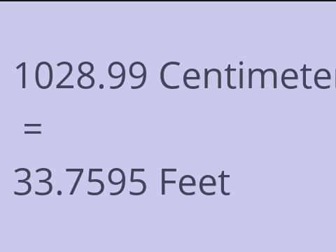 1028.99 CM TO FEET