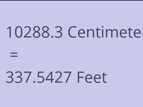 10288.3 CM TO FEET