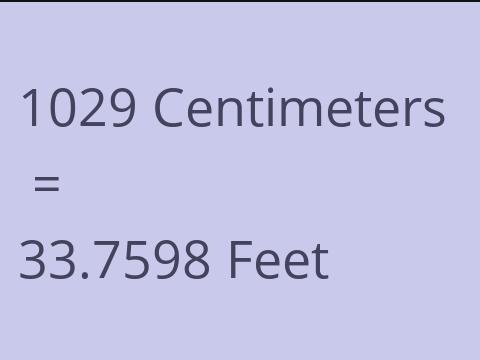 1029 CM TO FEET