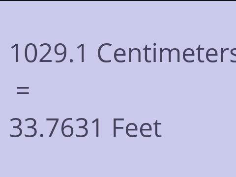 1029.1 CM TO FEET