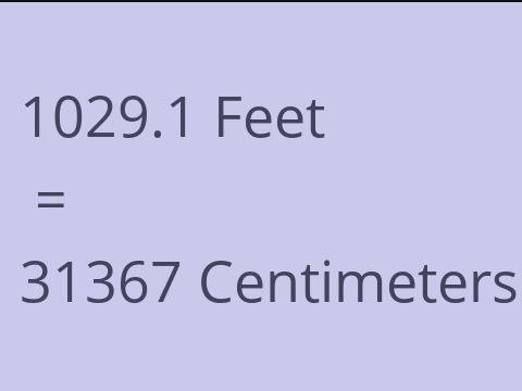 1029.1 FEET TO CM