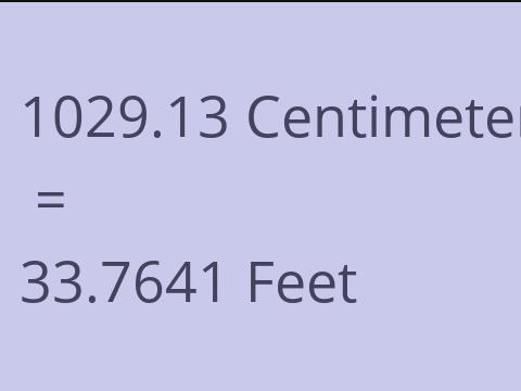 1029.13 CM TO FEET