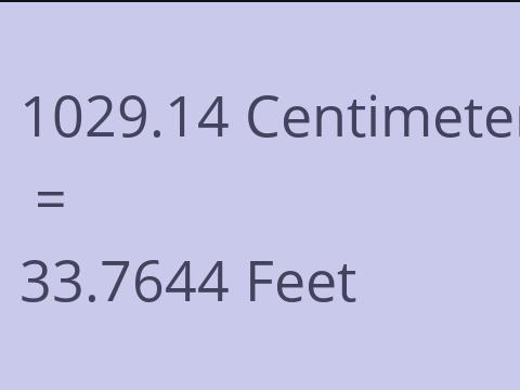 1029.14 CM TO FEET