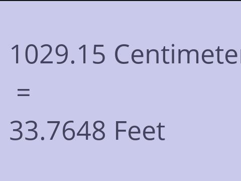 1029.15 CM TO FEET