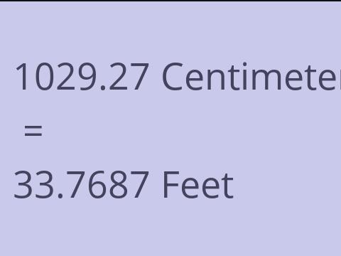 1029.27 CM TO FEET