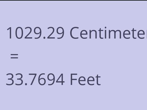 1029.29 CM TO FEET