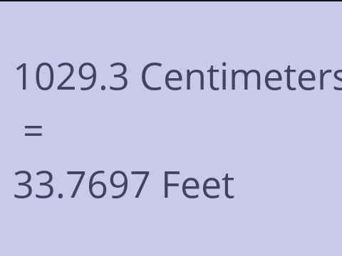 1029.3 CM TO FEET