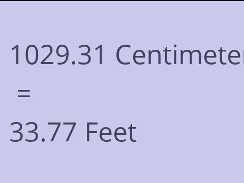 1029.31 CM TO FEET