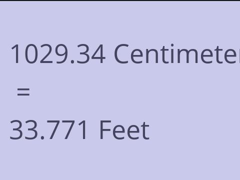 1029.34 CM TO FEET