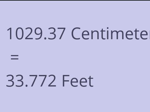 1029.37 CM TO FEET