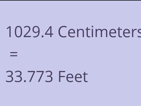 1029.4 CM TO FEET