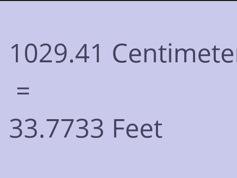 1029.41 CM TO FEET