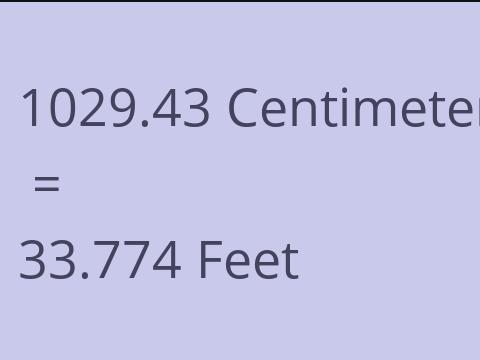 1029.43 CM TO FEET