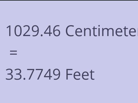 1029.46 CM TO FEET