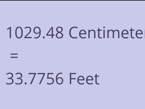 1029.48 CM TO FEET