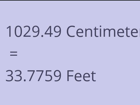 1029.49 CM TO FEET