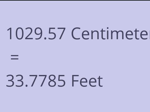 1029.57 CM TO FEET