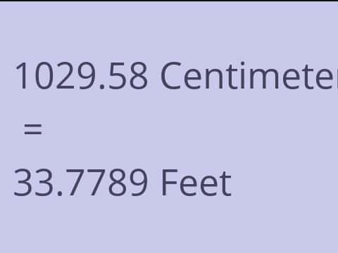 1029.58 CM TO FEET