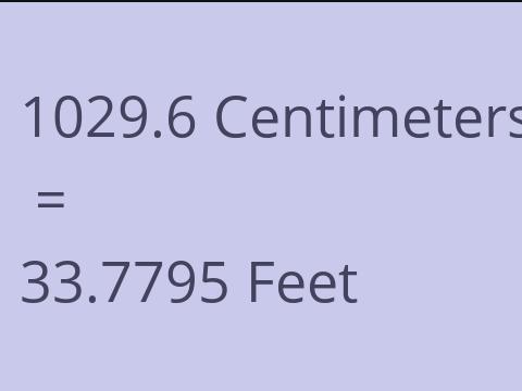 1029.6 CM TO FEET