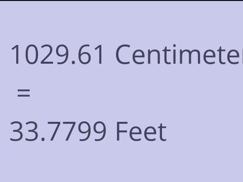 1029.61 CM TO FEET