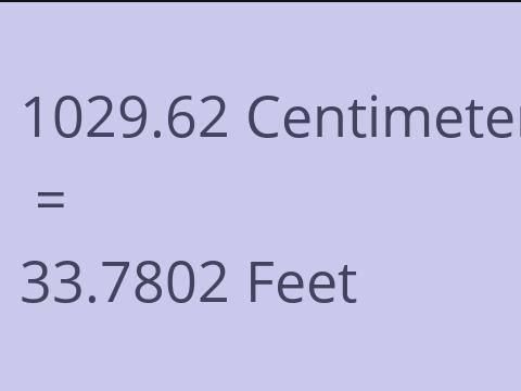 1029.62 CM TO FEET