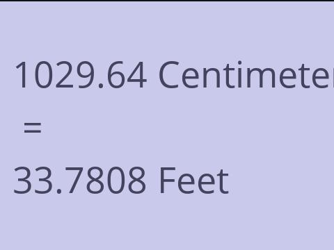 1029.64 CM TO FEET