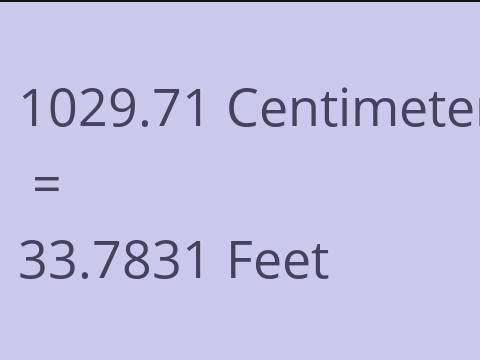 1029.71 CM TO FEET