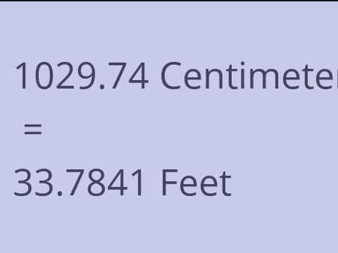 1029.74 CM TO FEET