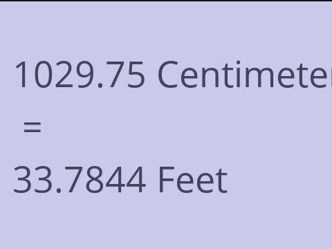 1029.75 CM TO FEET