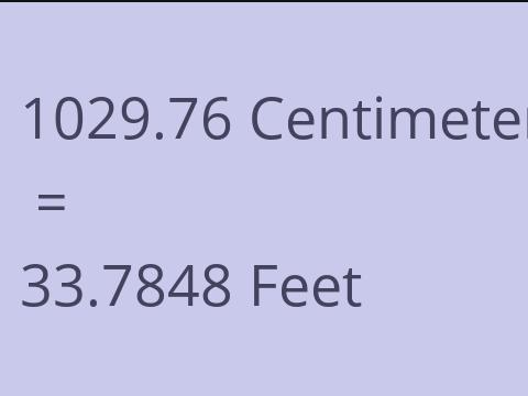 1029.76 CM TO FEET