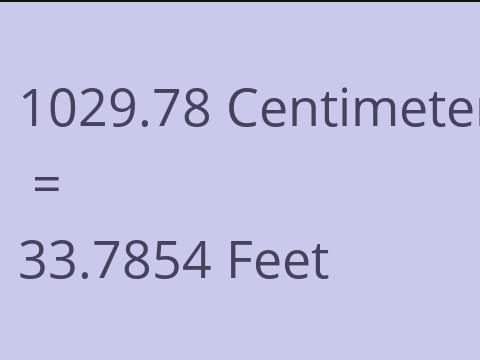 1029.78 CM TO FEET