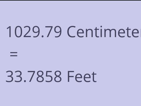 1029.79 CM TO FEET