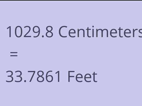 1029.8 CM TO FEET