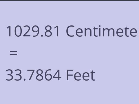 1029.81 CM TO FEET