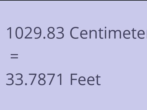 1029.83 CM TO FEET