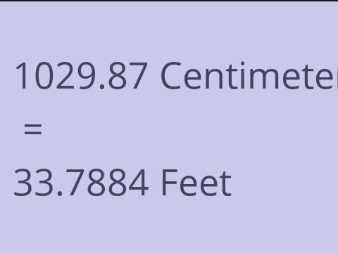 1029.87 CM TO FEET