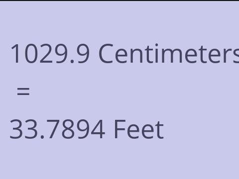 1029.9 CM TO FEET