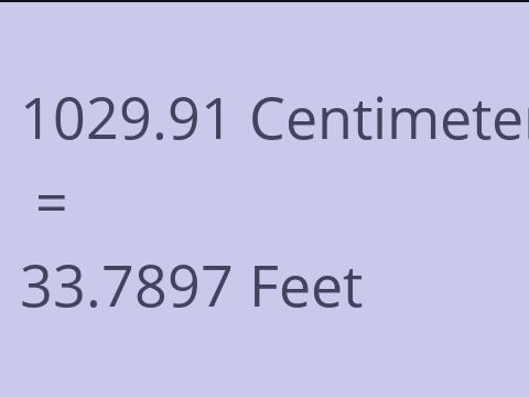 1029.91 CM TO FEET