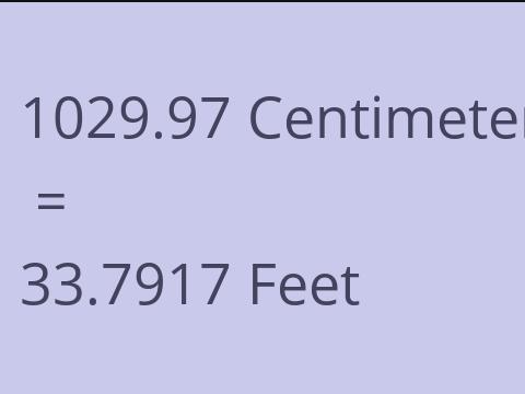 1029.97 CM TO FEET