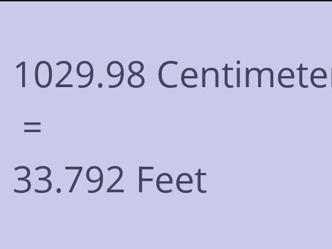 1029.98 CM TO FEET