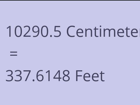 10290.5 CM TO FEET