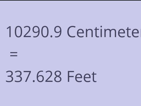 10290.9 CM TO FEET