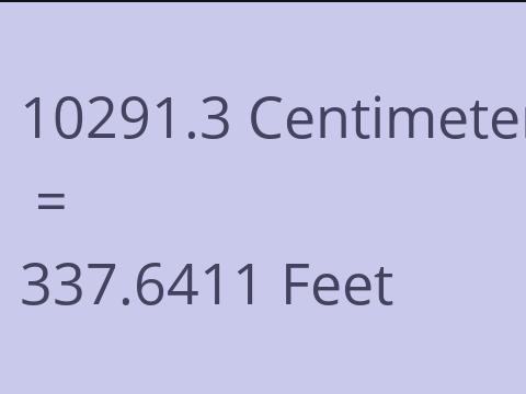 10291.3 CM TO FEET