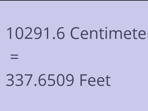 10291.6 CM TO FEET