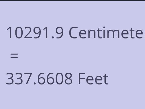 10291.9 CM TO FEET