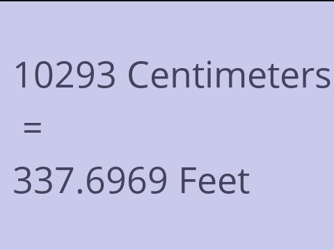 10293 CM TO FEET